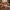 DU COFFEE Luxury Pro Artistry Face & Eye Brush Set