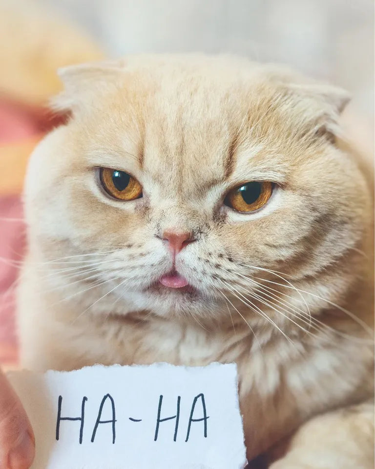 5 April Fool’s Jokes You Can Tell