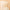 7 Piece Platinum Makeup Brush Set with Bag