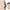 DUcare 6-Piece Electroplated Gold Double-Ended Makeup Brush Set