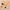 DUcare 6-Piece Electroplated Gold Double-Ended Makeup Brush Set