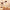 DUcare 6-Piece Electroplated Gold Double-Ended Makeup Brush Set