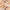DUcare 6-Piece Electroplated Gold Double-Ended Makeup Brush Set