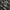 Panda Luxury Pro Artistry 31-Piece Face & Eye Brush Set