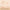 Foundation Brush with Makeup Puff
