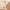 Pink Smooth Makeup 2Pcs Face Brush Set