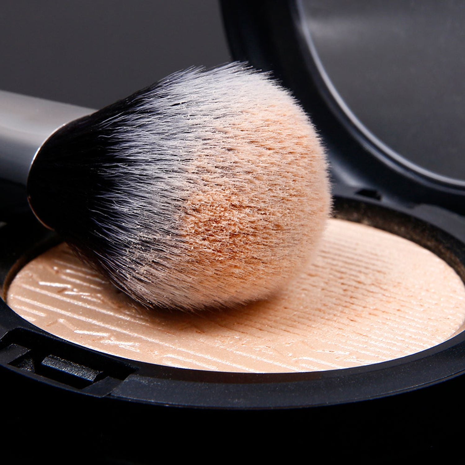Panda Black & White Daily Need 3-Piece Face Brush Set