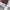 Panda Luxury Pro Artistry 31-Piece Face & Eye Brush Set