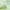 DUcare Green Tea Oil Absorbing Sheets with Portable Mirror Case & Makeup Puff