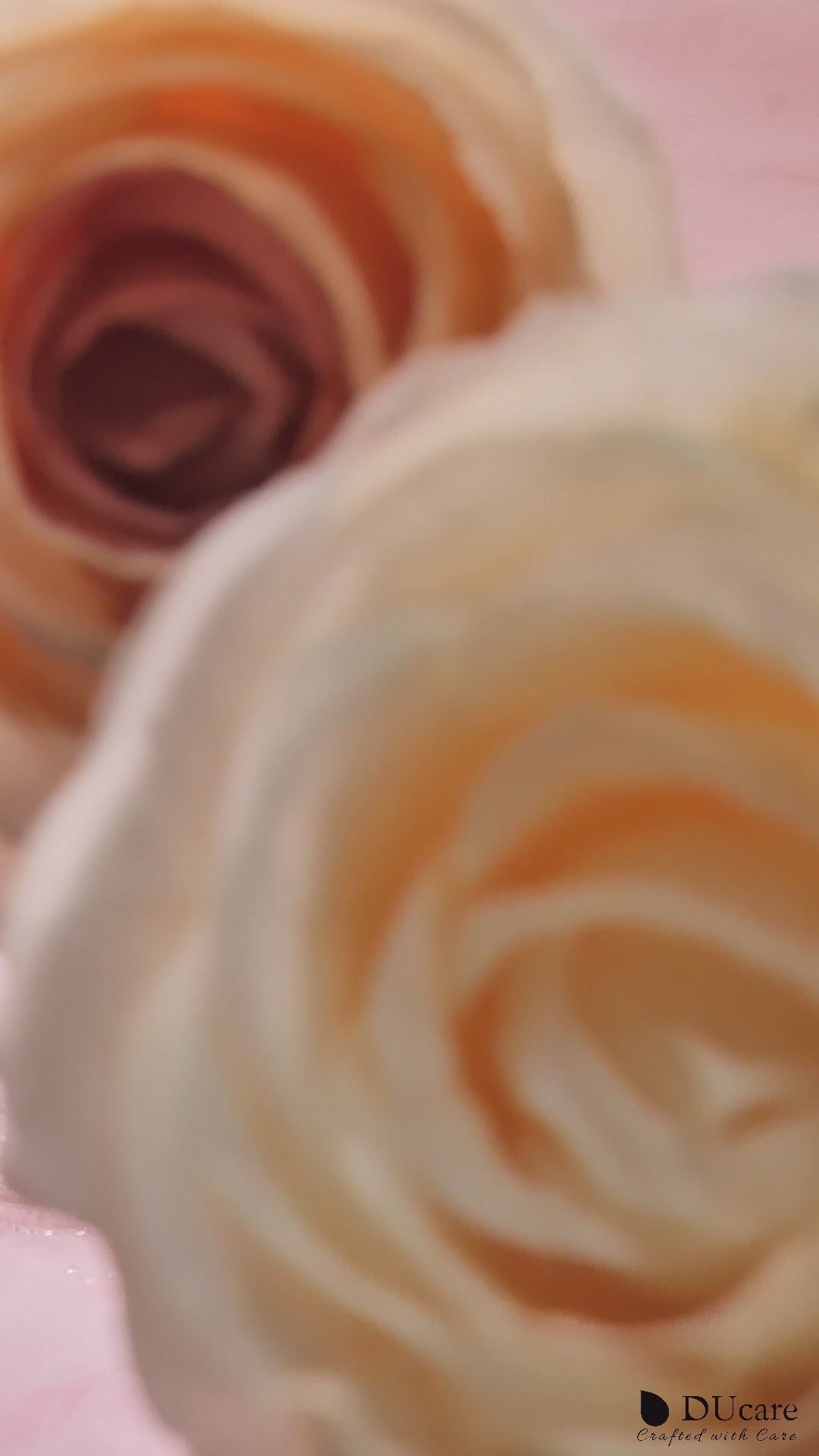 Love Struck 14Pcs Face & Eye Brush Set with Hair Clip